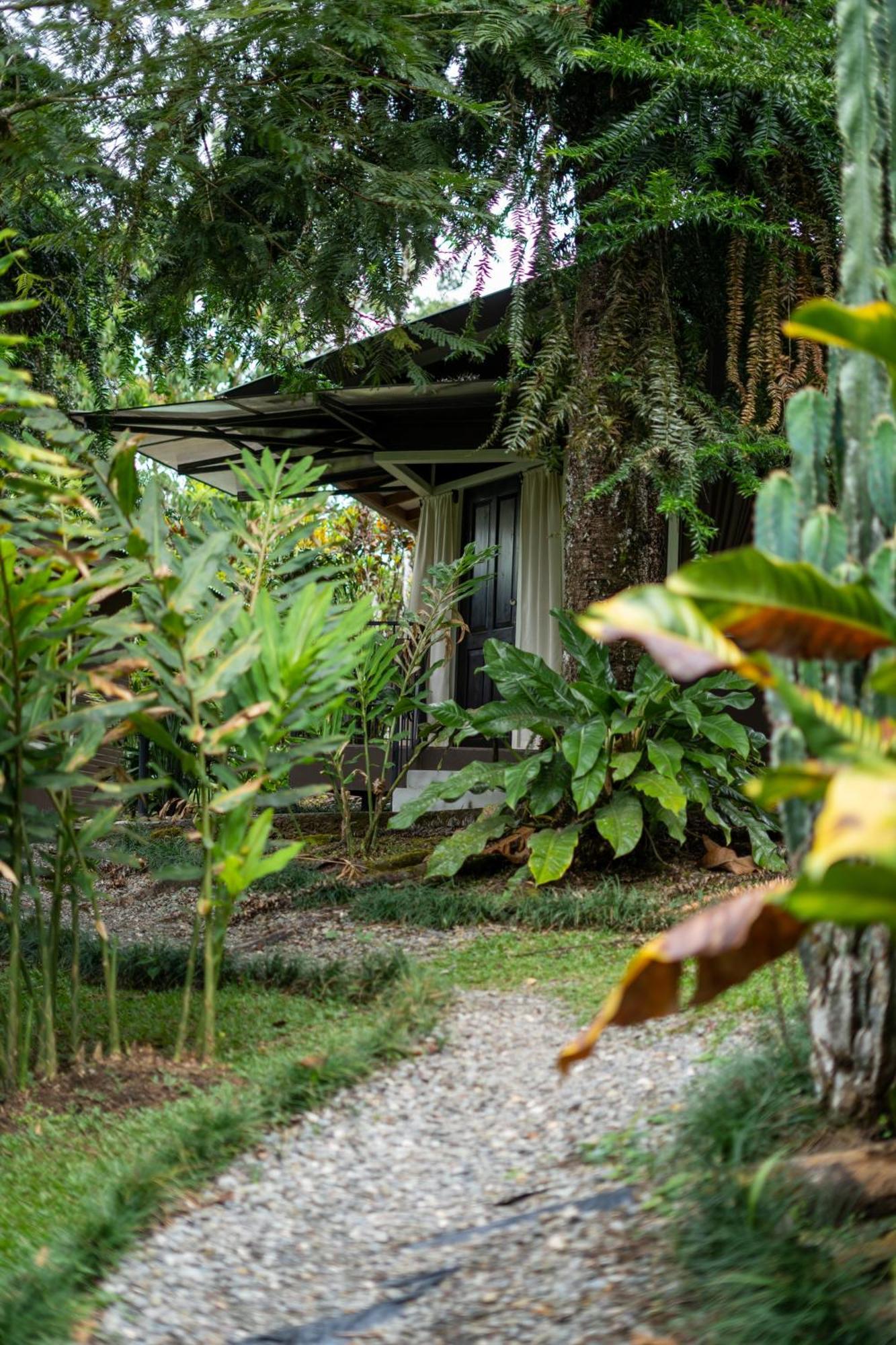 Cabanas Green House San Vito Eksteriør billede